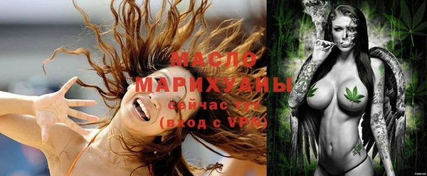 дмт Алексин