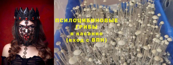 а пвп мука Алзамай