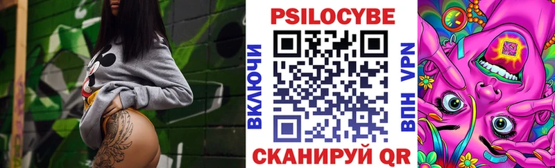что такое Вологда Псилоцибиновые грибы Psilocybe