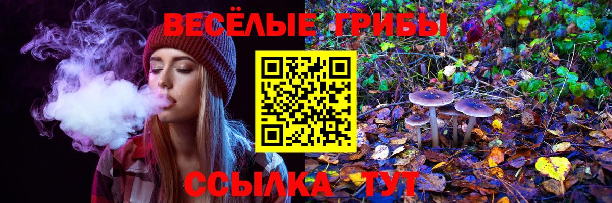 Галлюциногенные грибы MAGIC MUSHROOMS Вологда