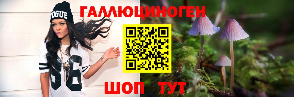 Псилоцибиновые грибы Cubensis  Вход с VPN  Вологда 